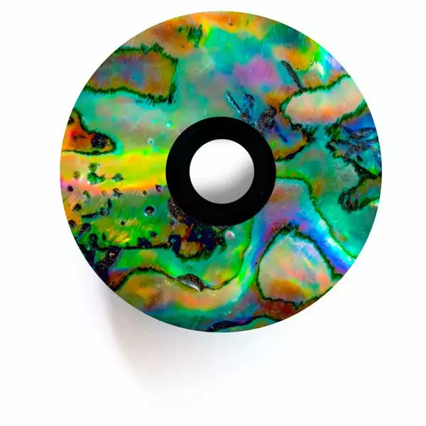 Ground Keeper Top Cap 1 Ground Keeper Top Cap