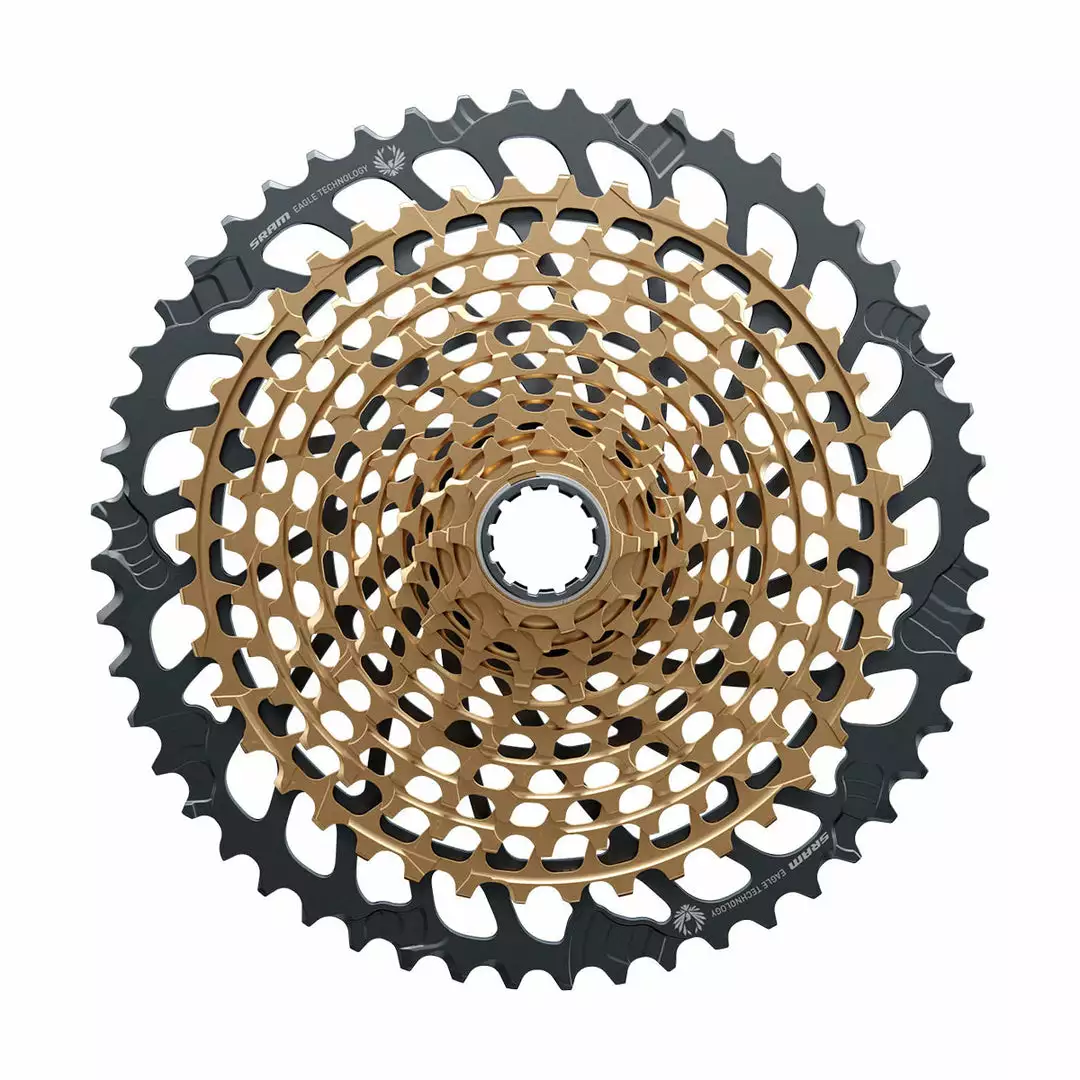 SRAM XX1 Eagle XG-1299 12 Speed Cassette Parts