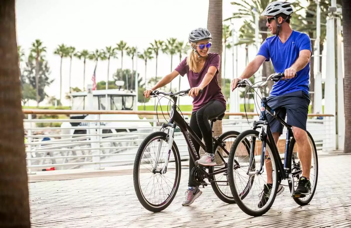 MTB Official Shop -MTB Official Shop 1 1